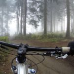 cycling in the forest 