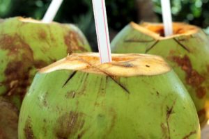 coconut water for bike tours